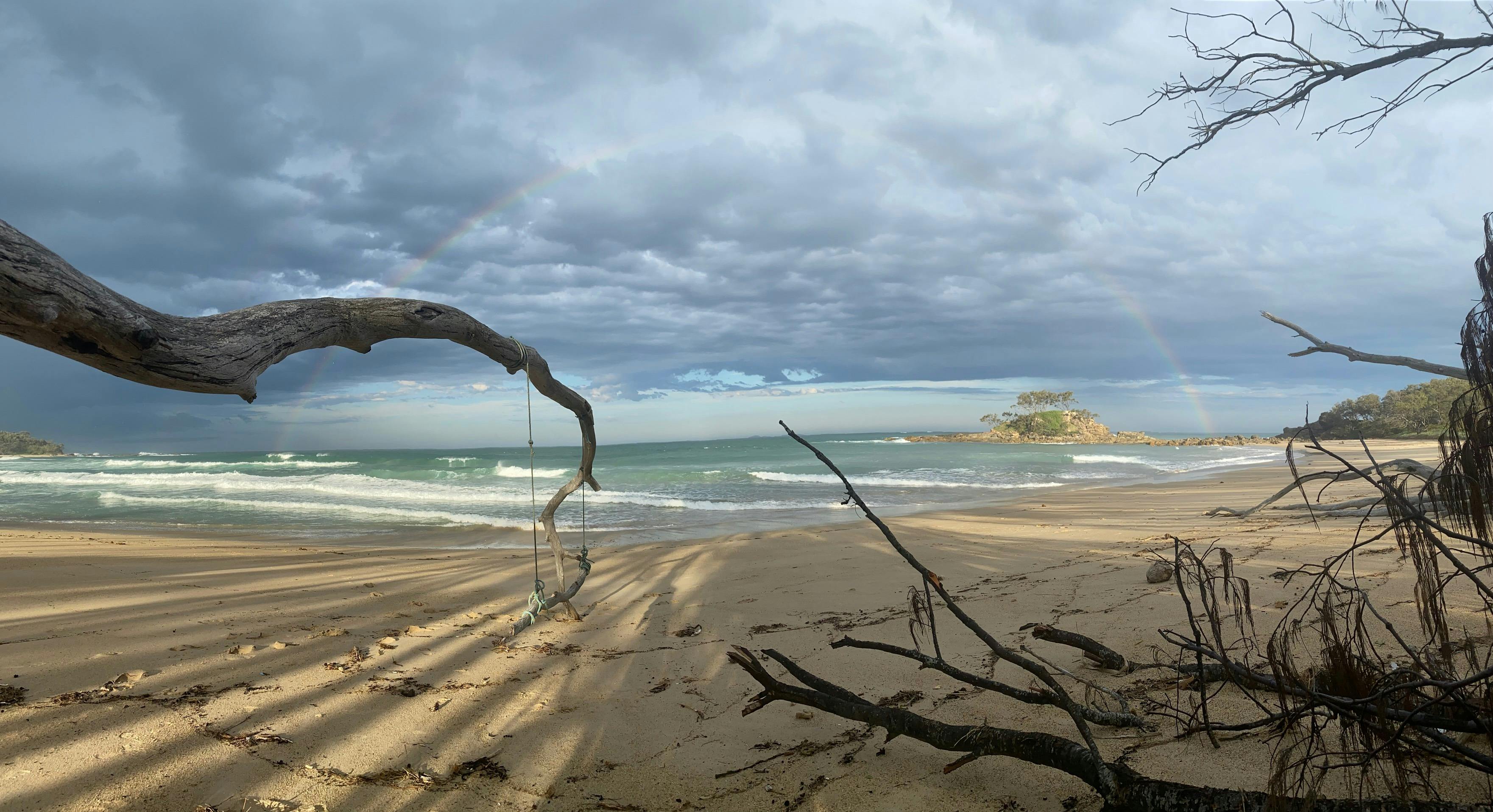 picture of branch lazily reaching out to the sea on an idyllic beach