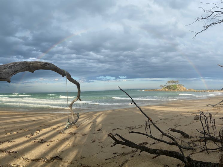 picture of branch lazily reaching out to the sea on an idyllic beach