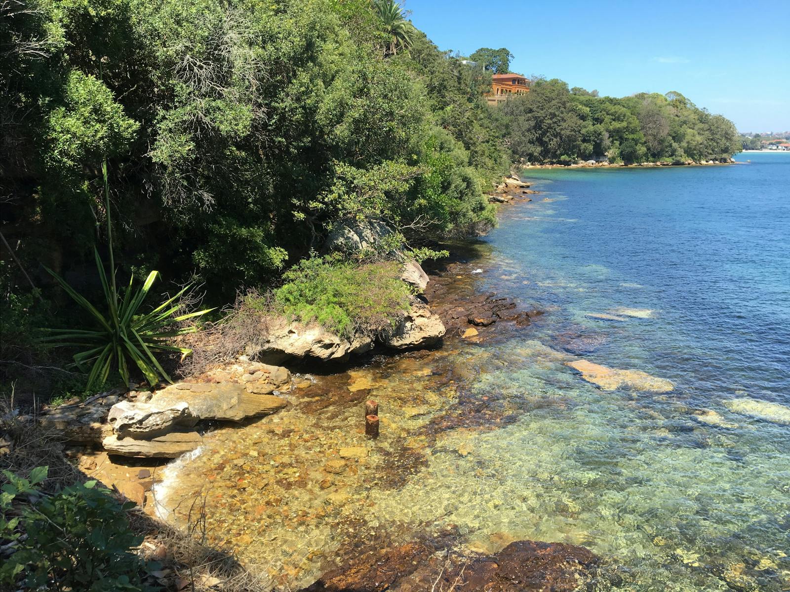 nestled along Sydney harbour you'll find secret spots