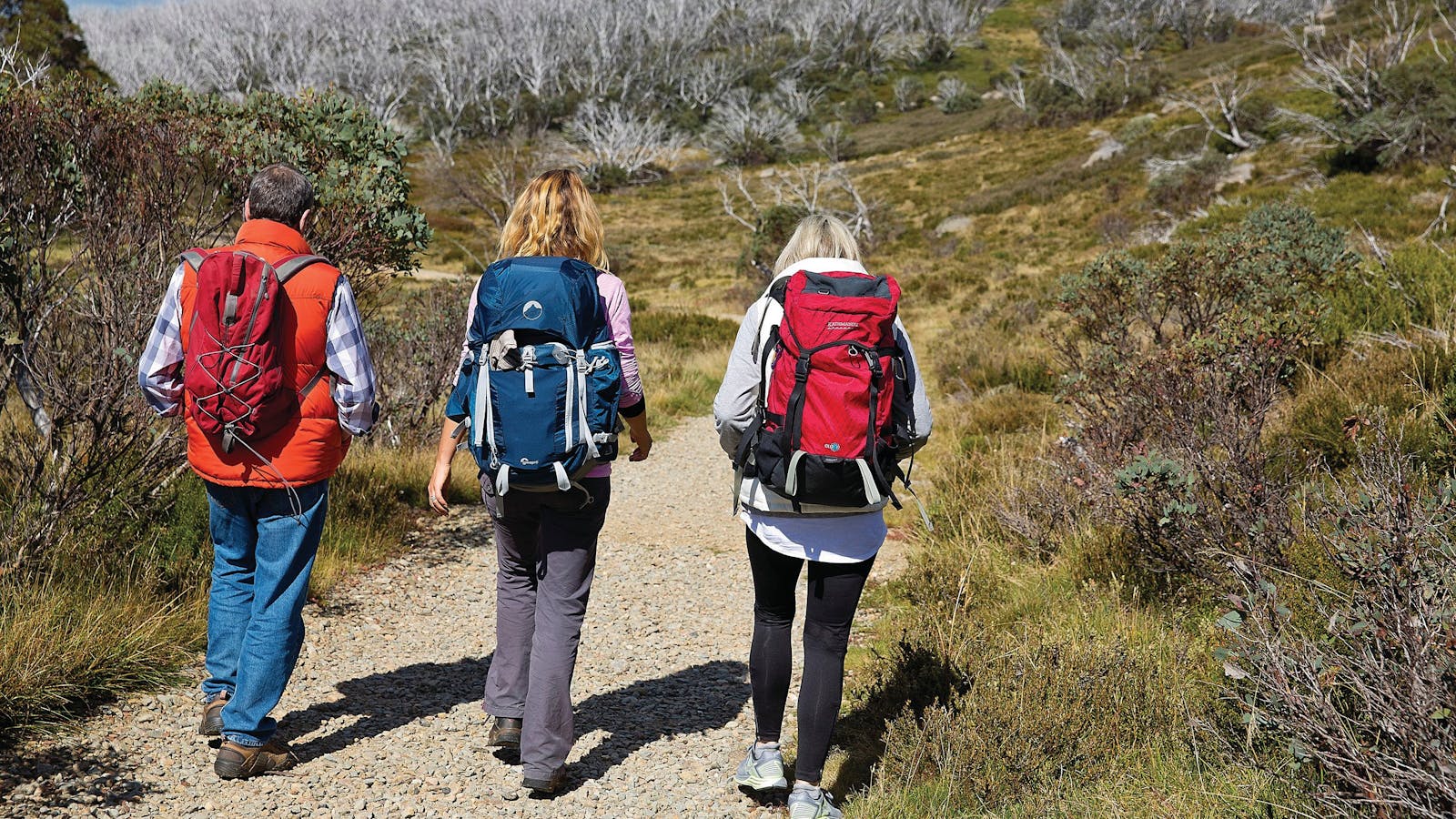 Alpine National Park