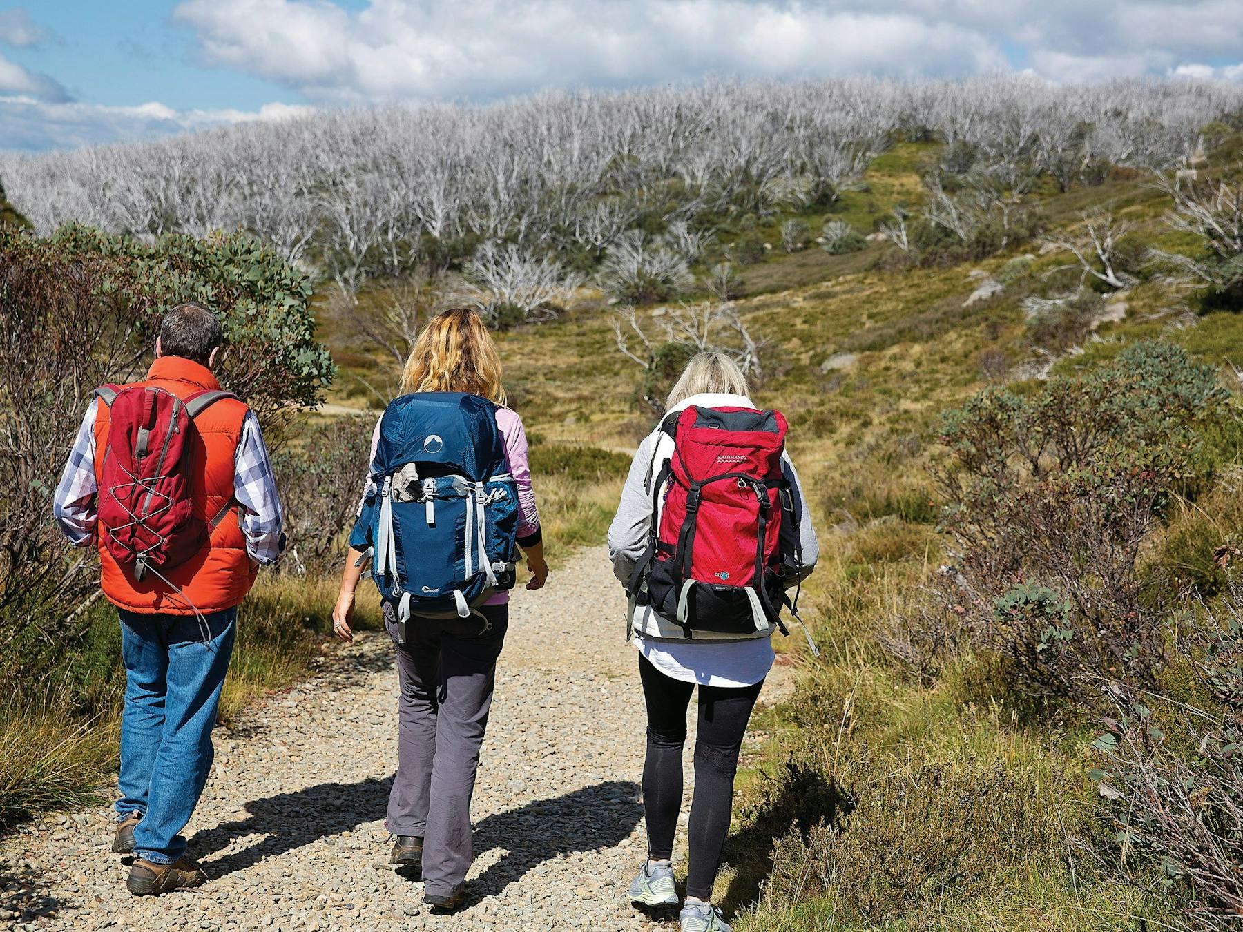 Alpine National Park