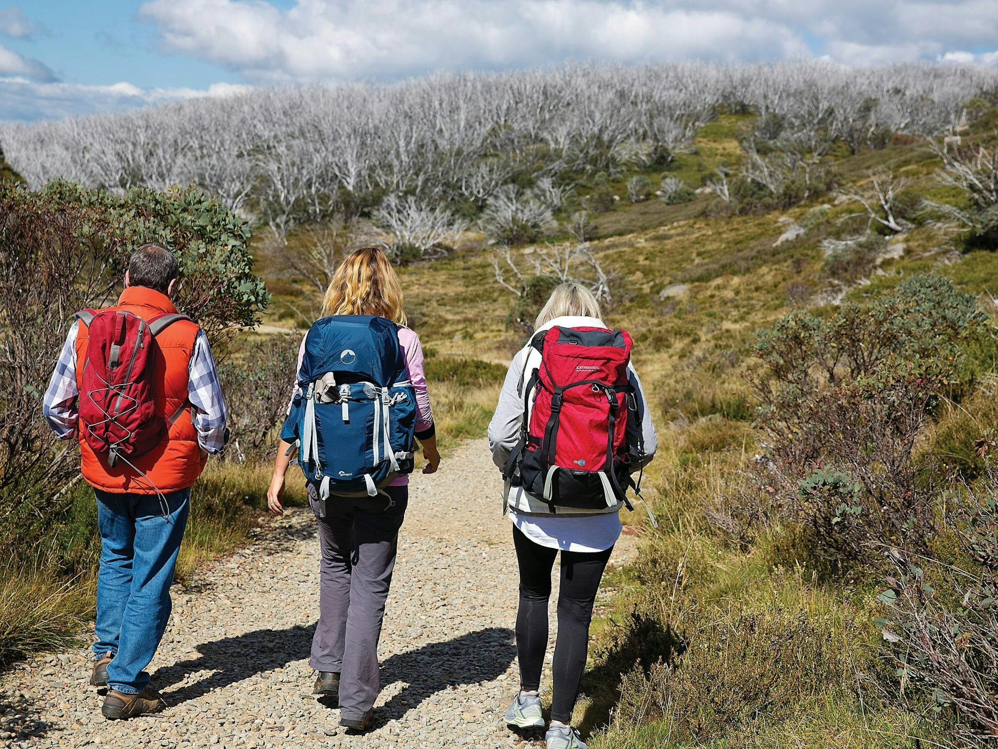 Alpine National Park