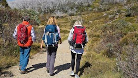 Alpine National Park