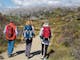 Alpine National Park