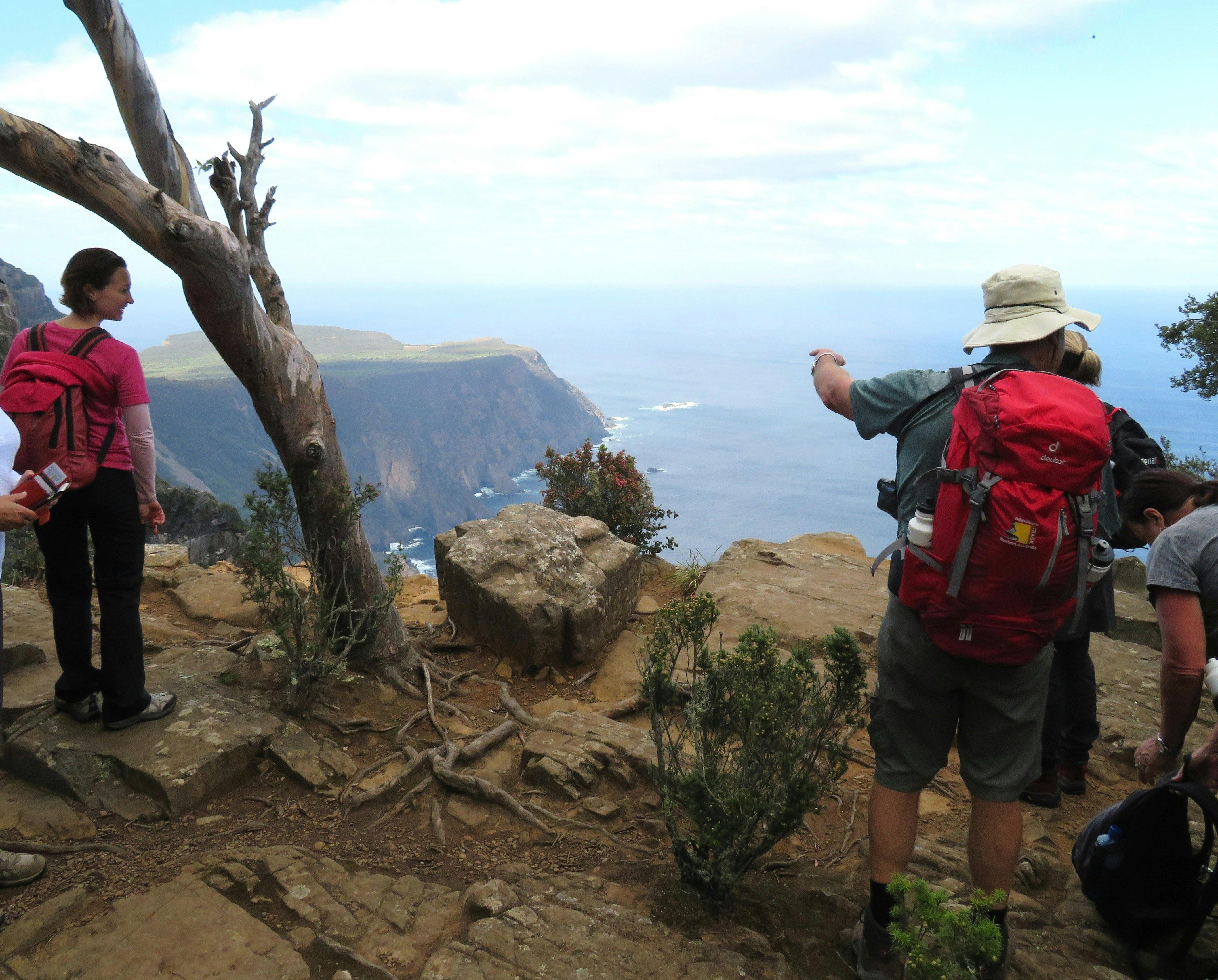 Three Capes Walk - Cape Roul