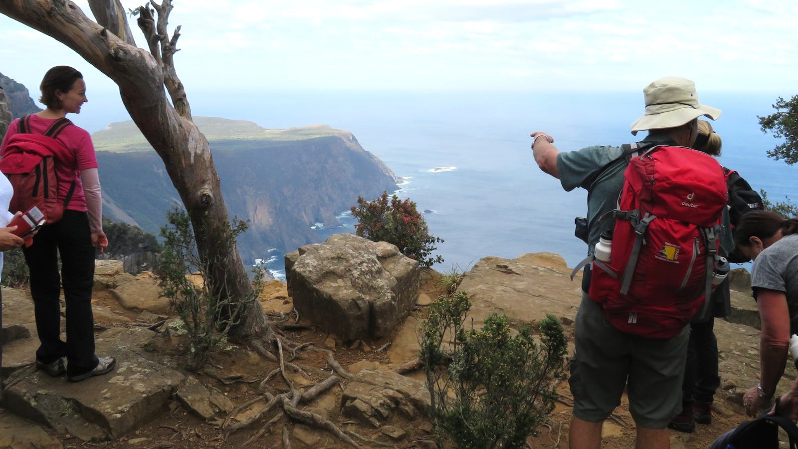 Our local guide showing guests Cape Roul off into the Distance