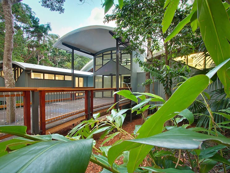 Sea Acres Rainforest boardwalk