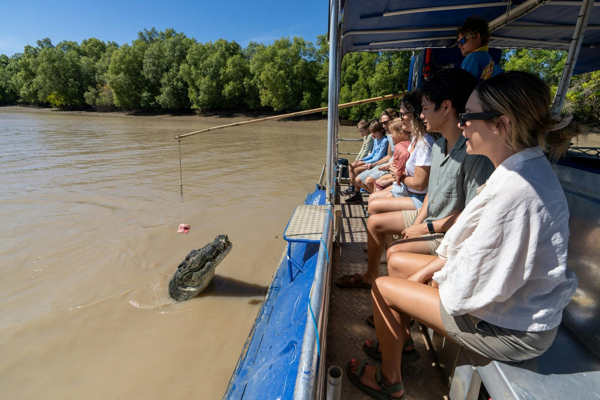 Jumping Crocodile Cruise with Sacred Owl Tours