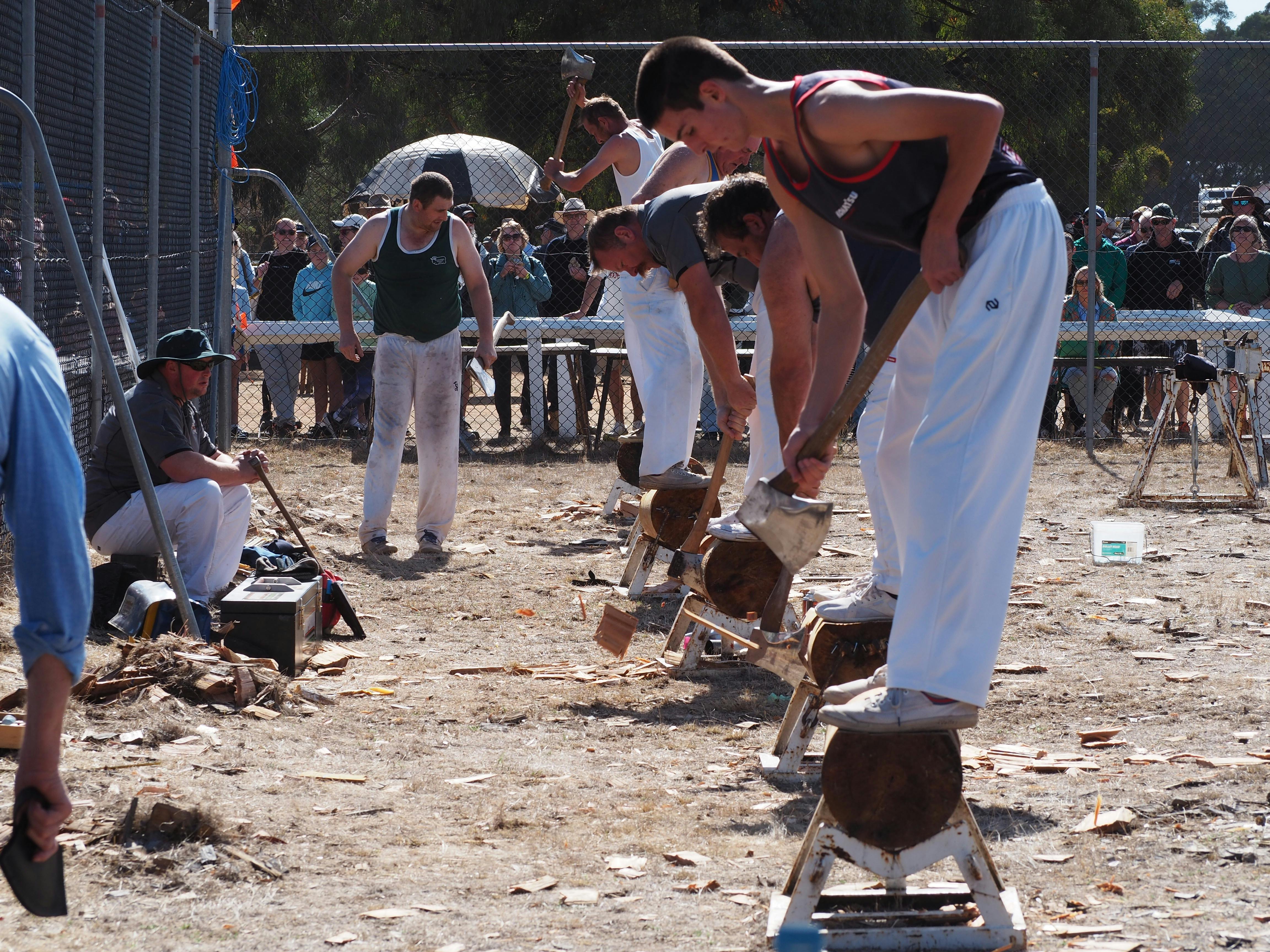 Wood chop competition. Competitors standing on wood block using axe to chop