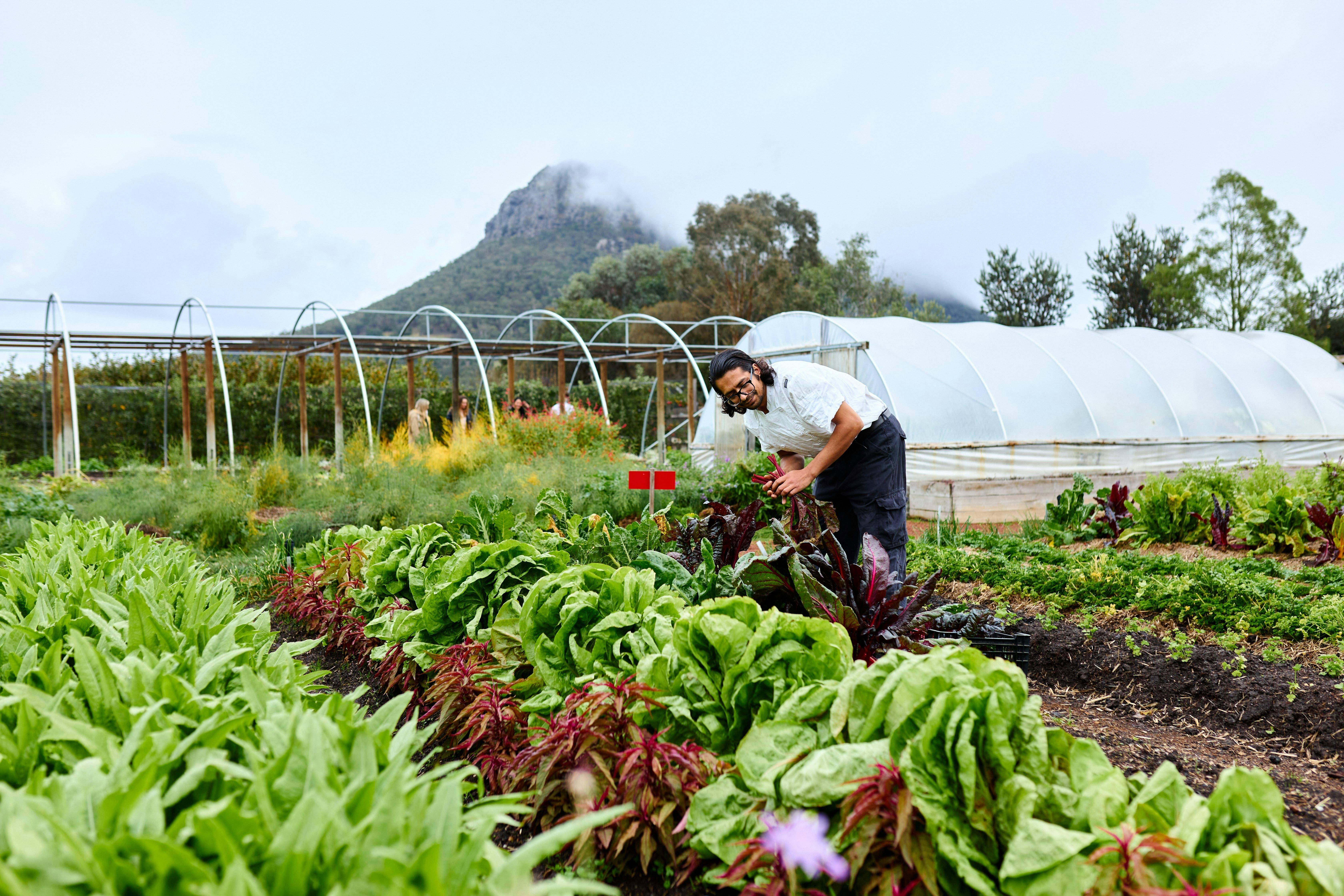 Dunkeld, garden