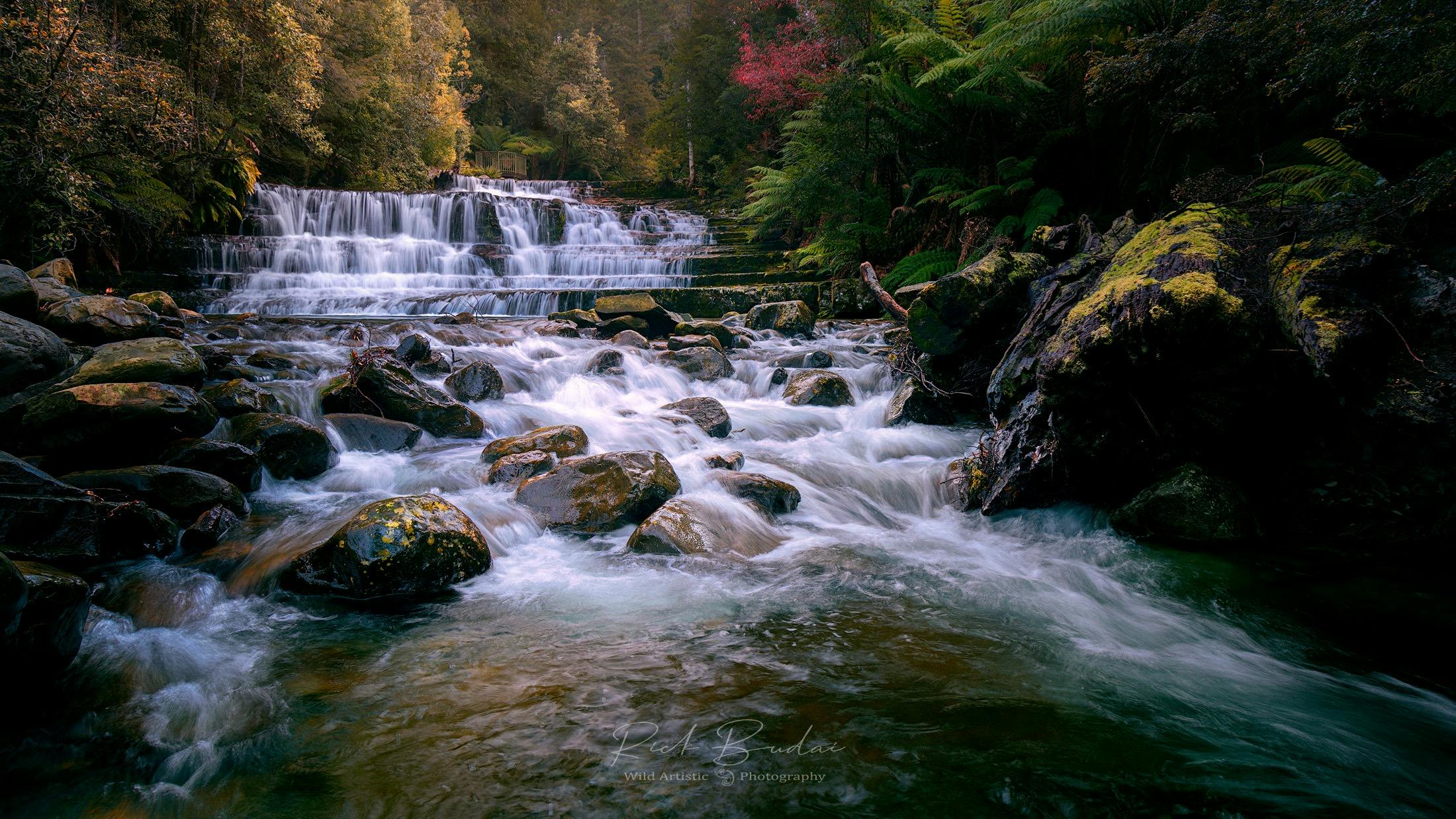 low, wide cascade in the forest at Liffey Falls