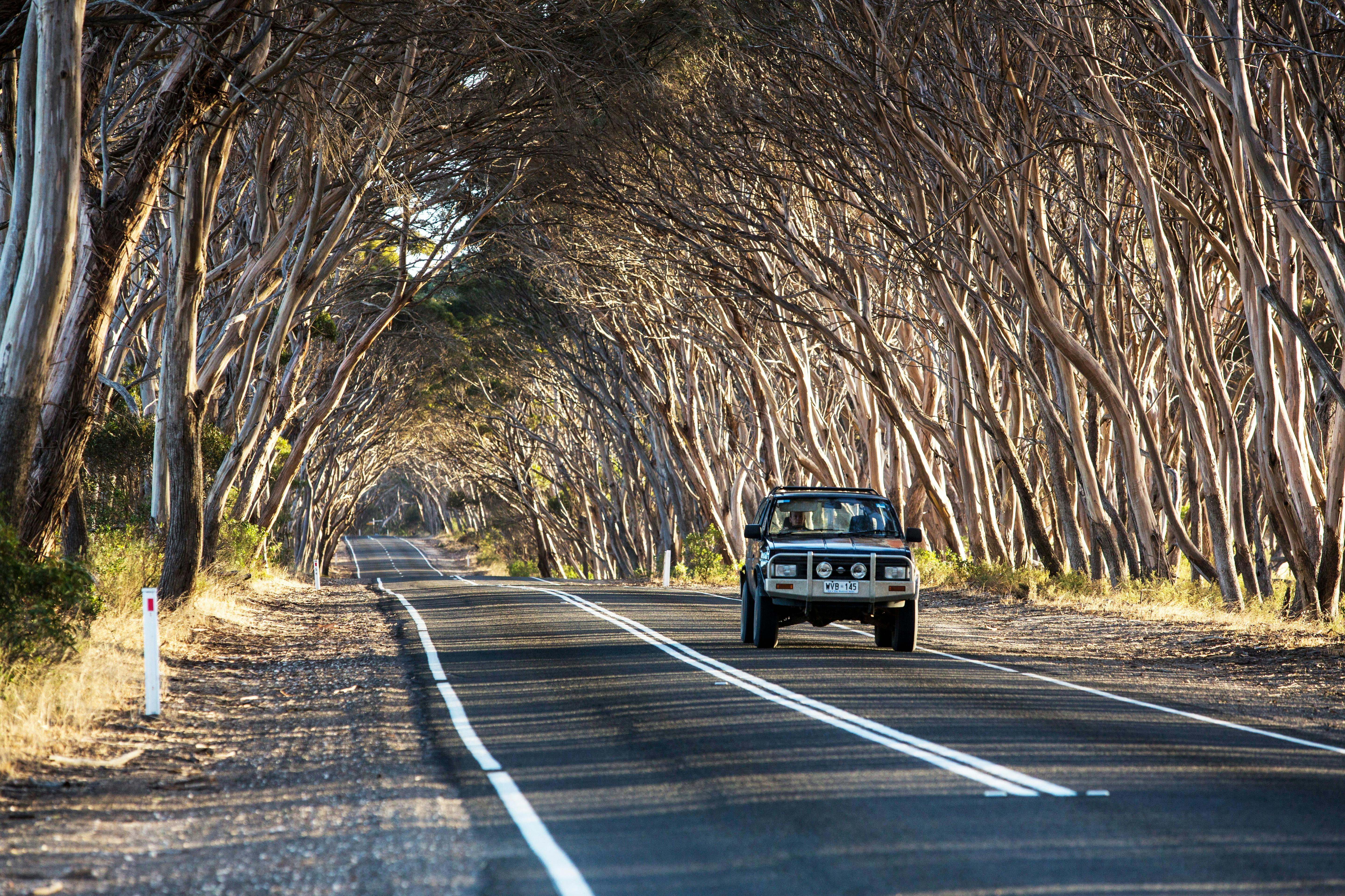 Self drive your way around Kangaroo Island