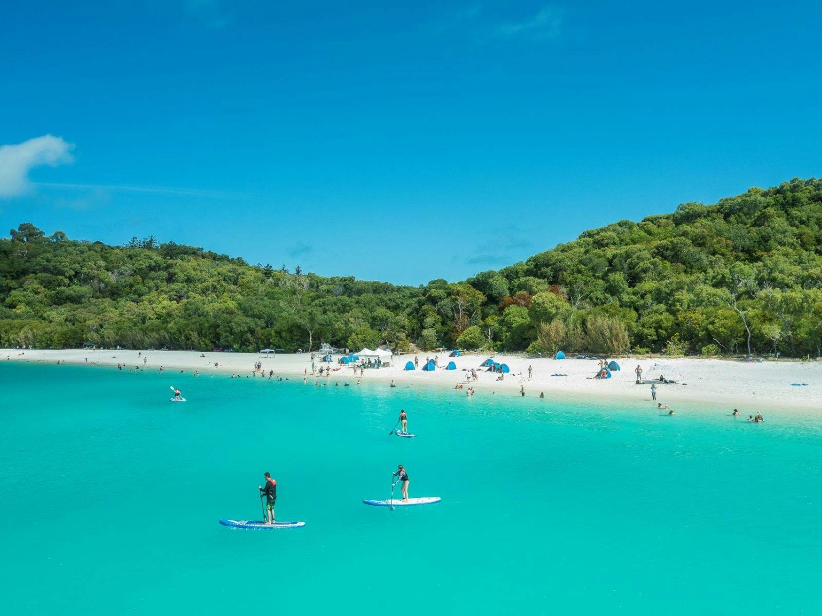 An aerial shot of  the beach with people in the water