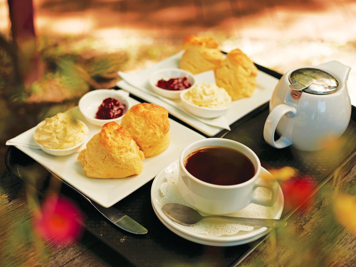 Scones and coffee Scones and coffee