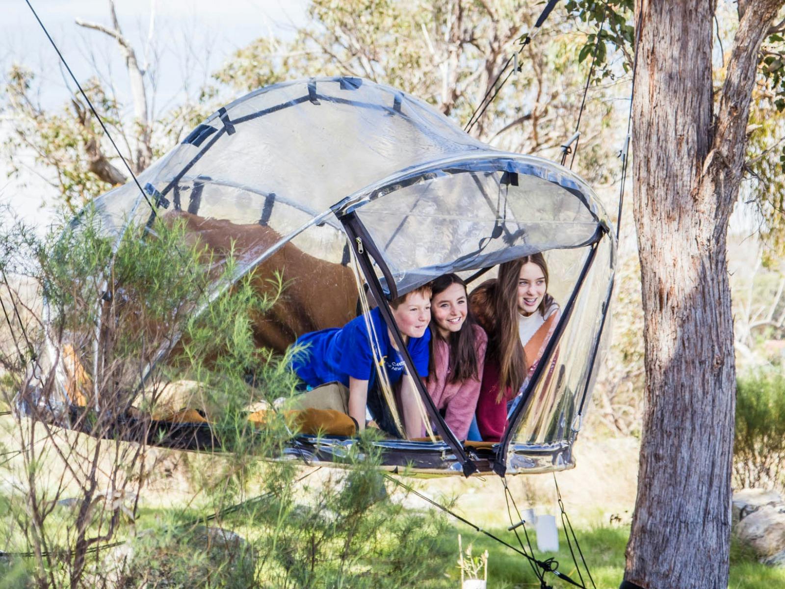 3 smiling kids peek out the front of the Tiny Bubbletent hanging in a tree ready for a fun stay