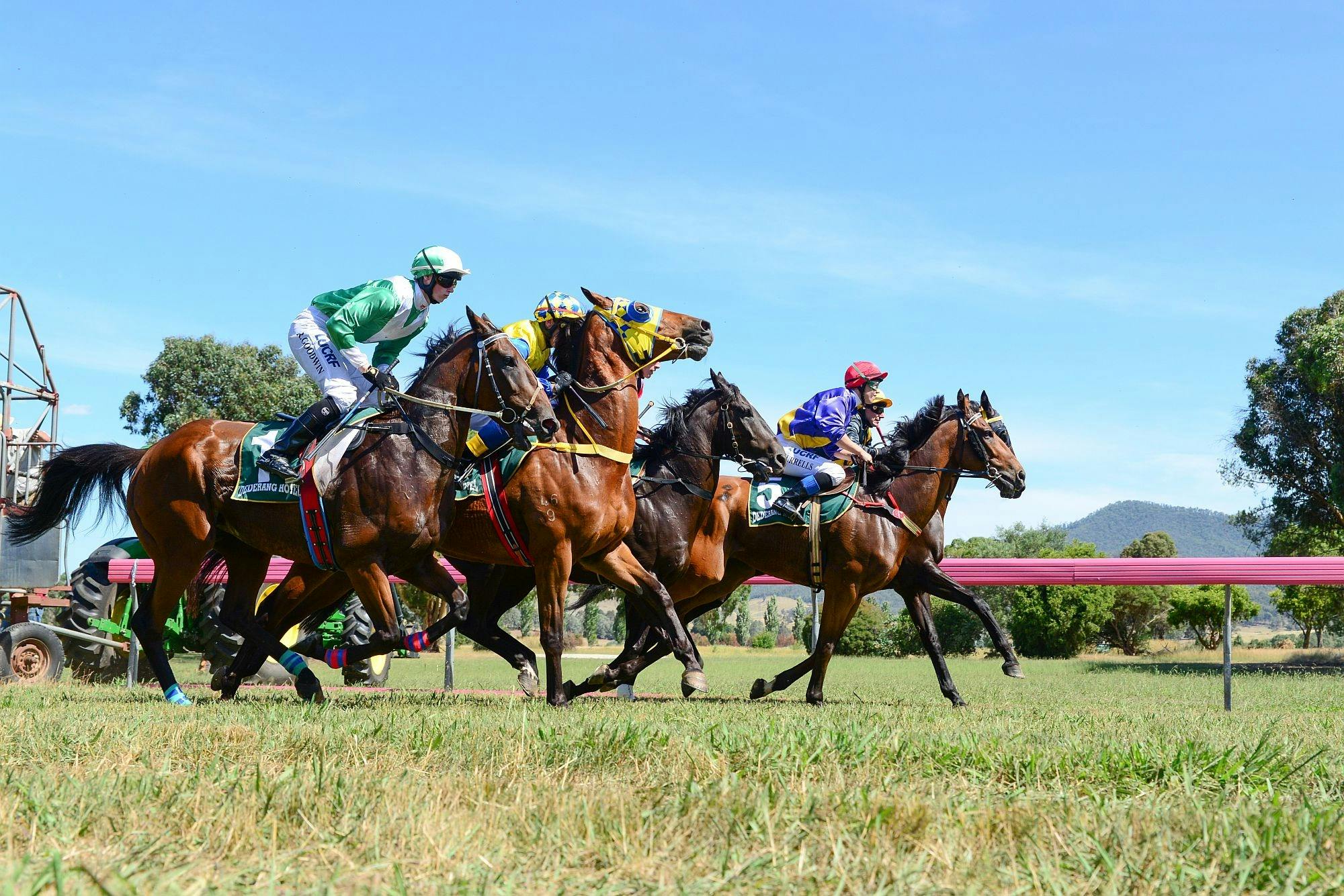 Dederang Picnic Races