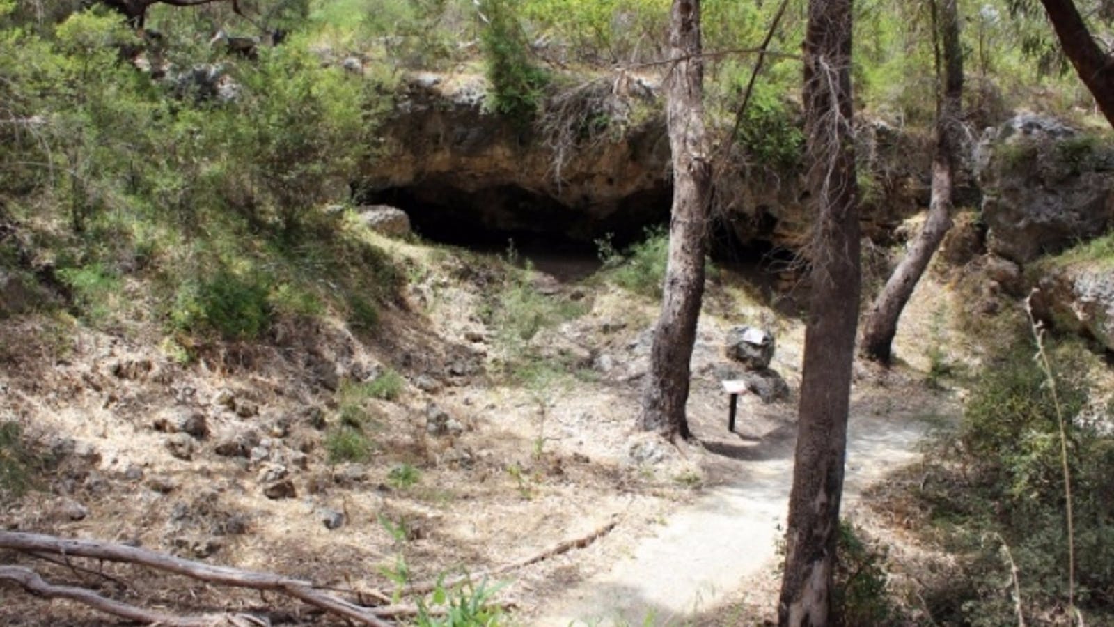 Yanchep National Park Bushwalking Trails