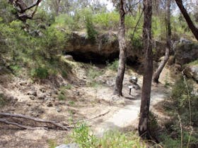 Yanchep National Park Bushwalking Trails