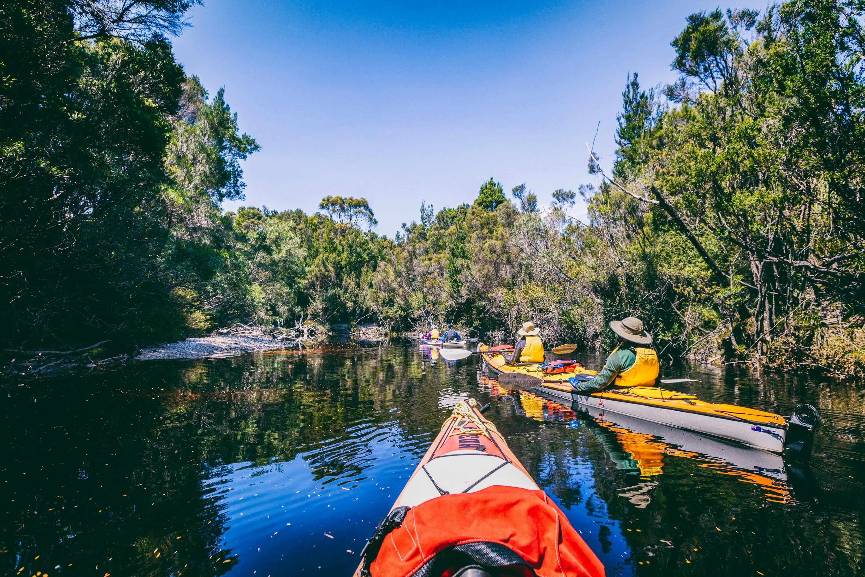 Southwest Tasmania Wilderness Expeditions - Roaring 40s Kayaking - 4 ...