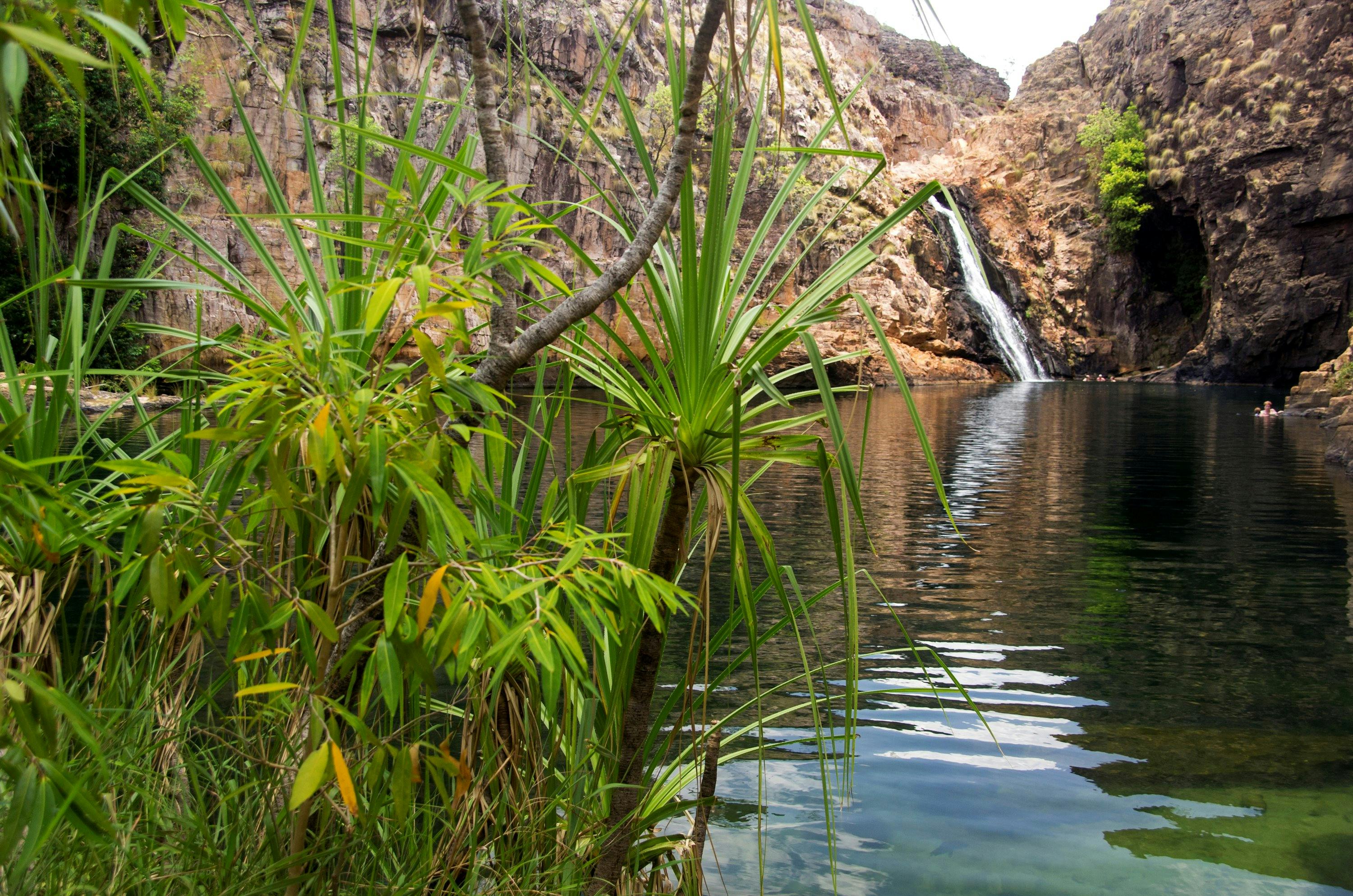 Sacred Earth Safaris - Tours from Darwin