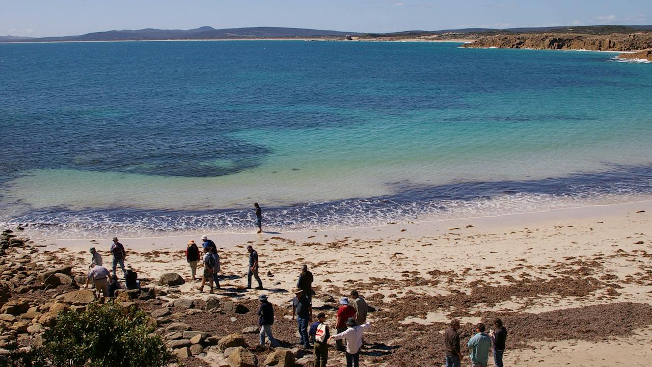 Group walks to Castle Rock from Emita Beach