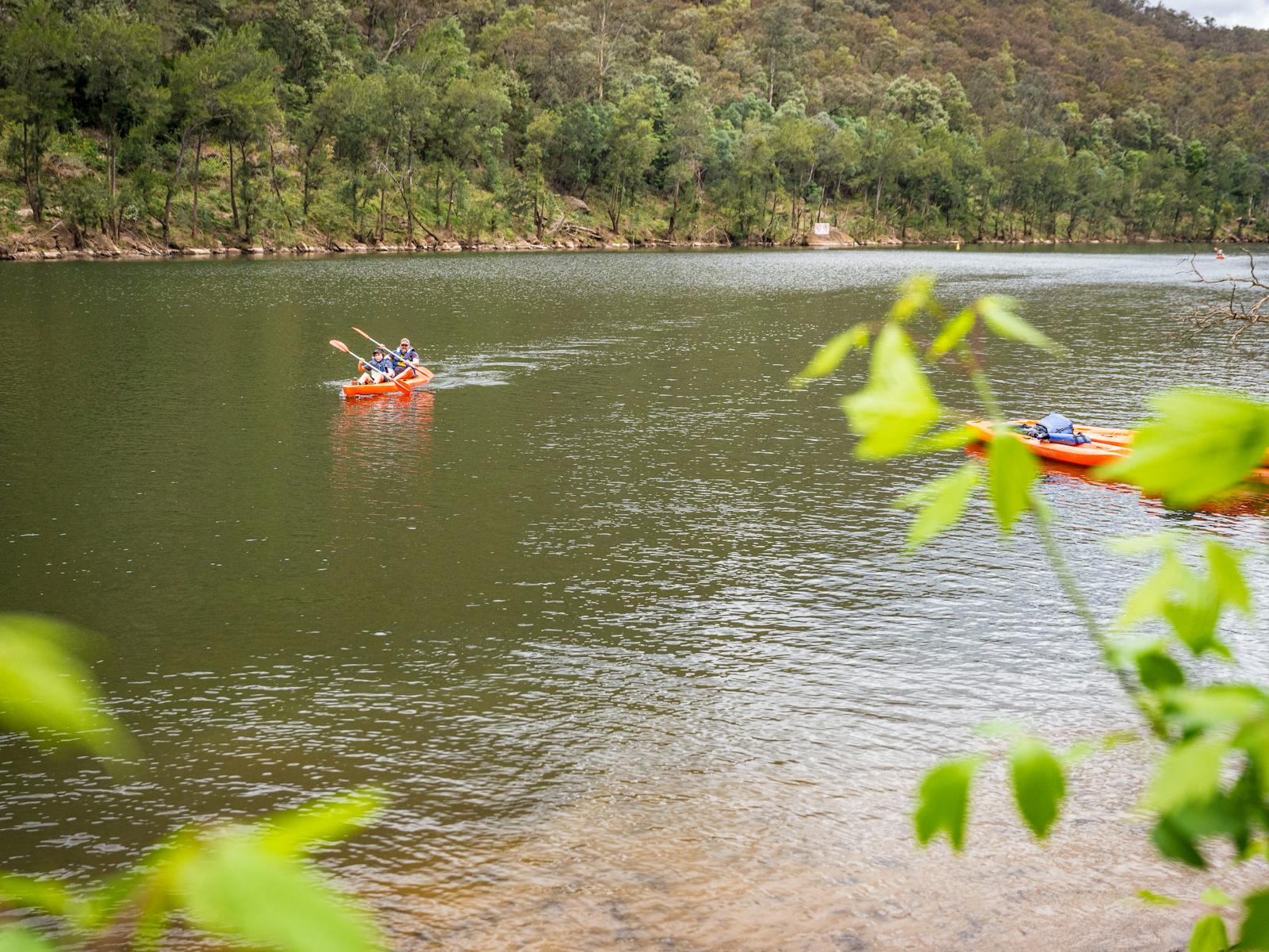 Two kayakers paddle down the Nepean River