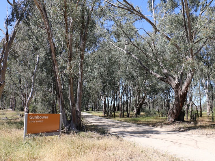 Entrance sign to Gunbower State Forest