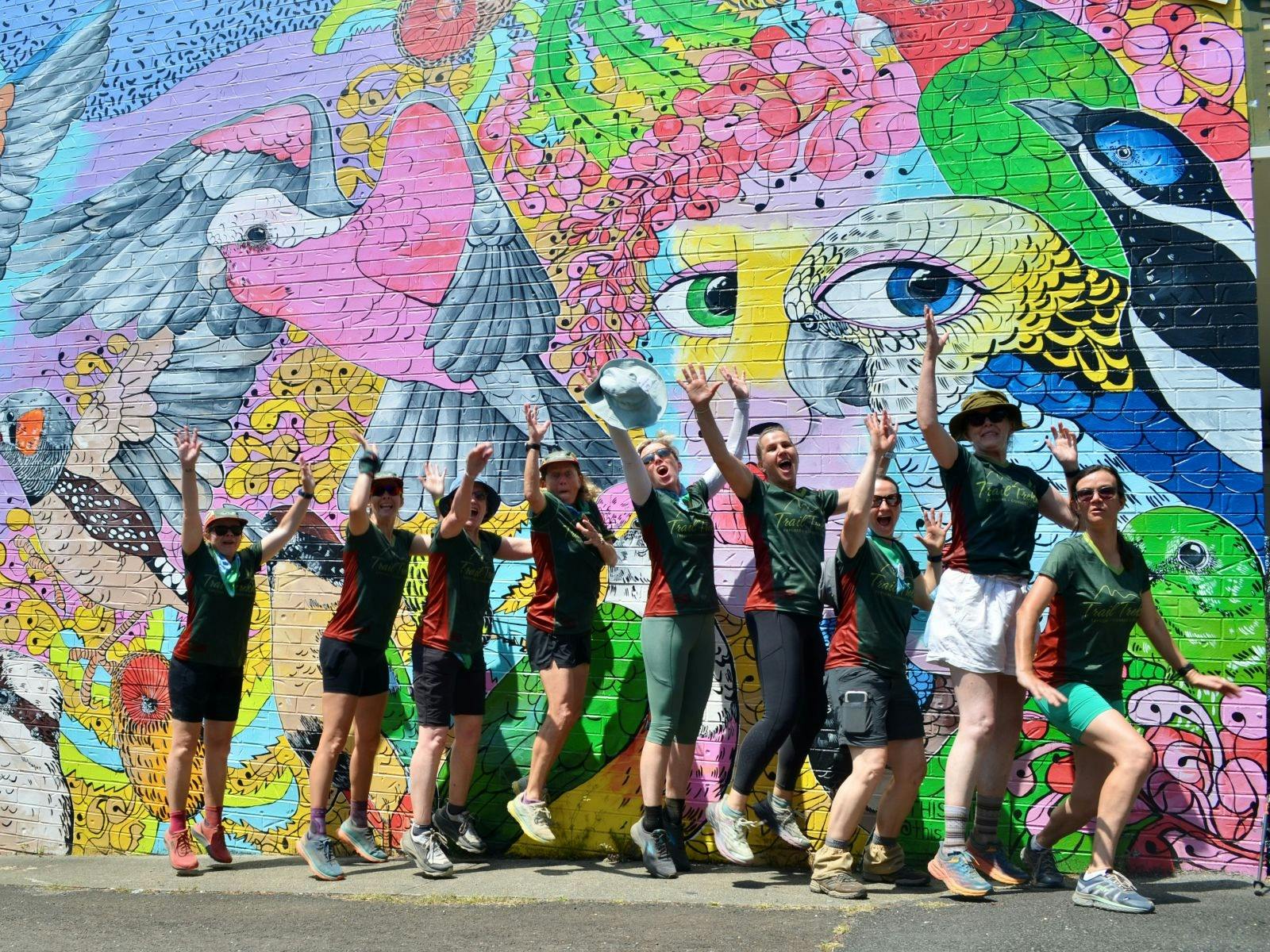 The Great Noosa Trail Walk