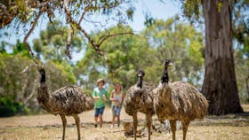 Cleland Wildlife Park