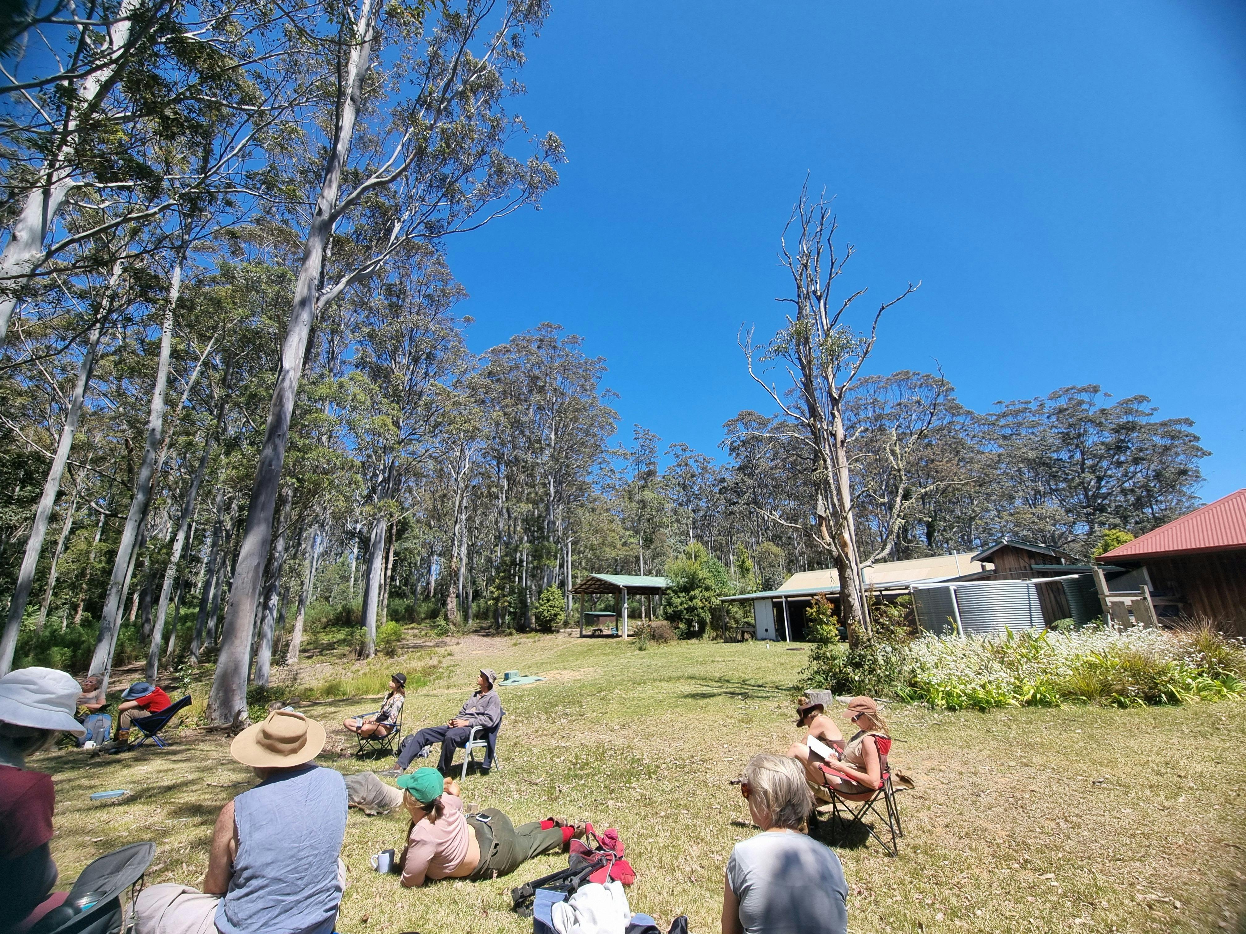 Mount Hyland bird language retreat participants listening to birds