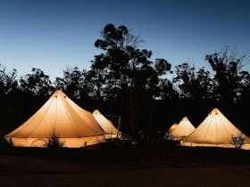 Bell Tents by night