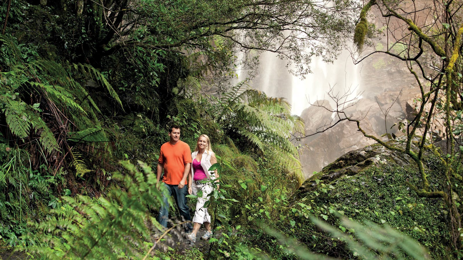 Queen Mary Falls circuit, Main Range National Park