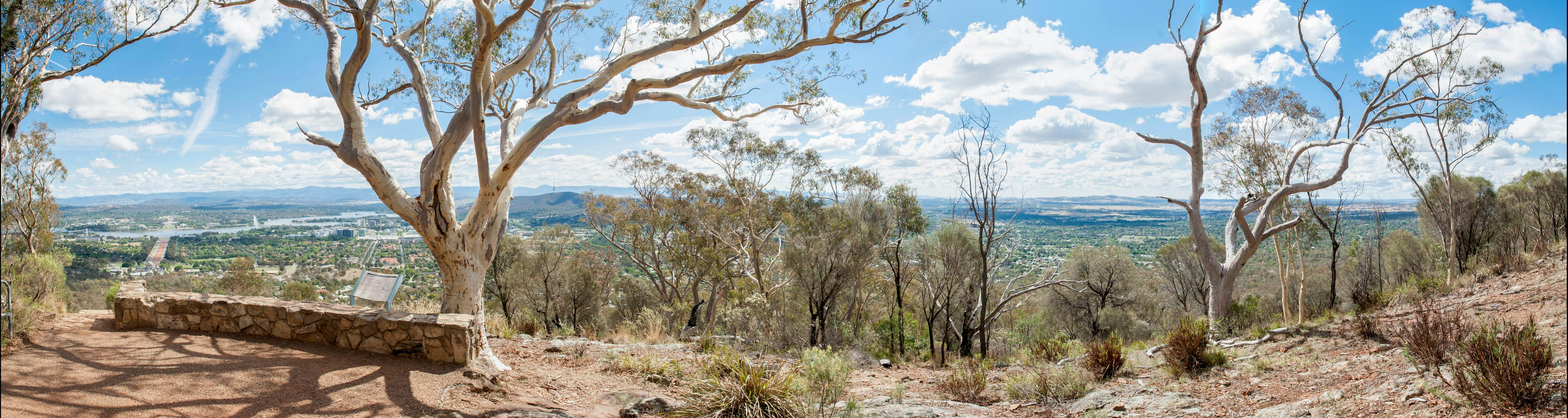 Views over Canberra from the top of Mount Ainslie