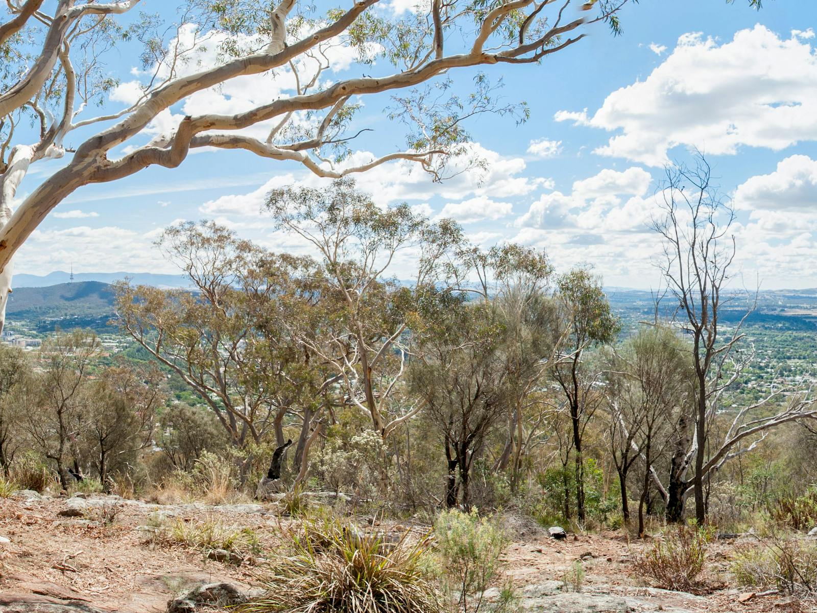 Mount Ainslie Lookout