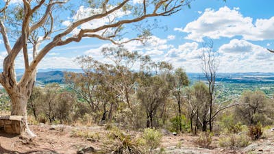 Views over Canberra from the top of Mount Ainslie