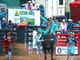 AgriWest Cooma Rodeo Cover Image