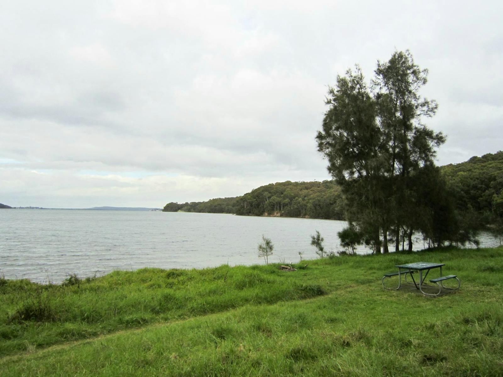 Marmong picnic area, Lake Macquarie State Conservation Area. Photo: Ashley Deveridge