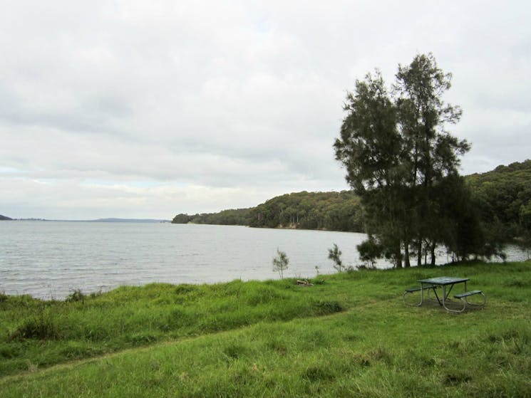 Marmong picnic area, Lake Macquarie State Conservation Area. Photo: Ashley Deveridge