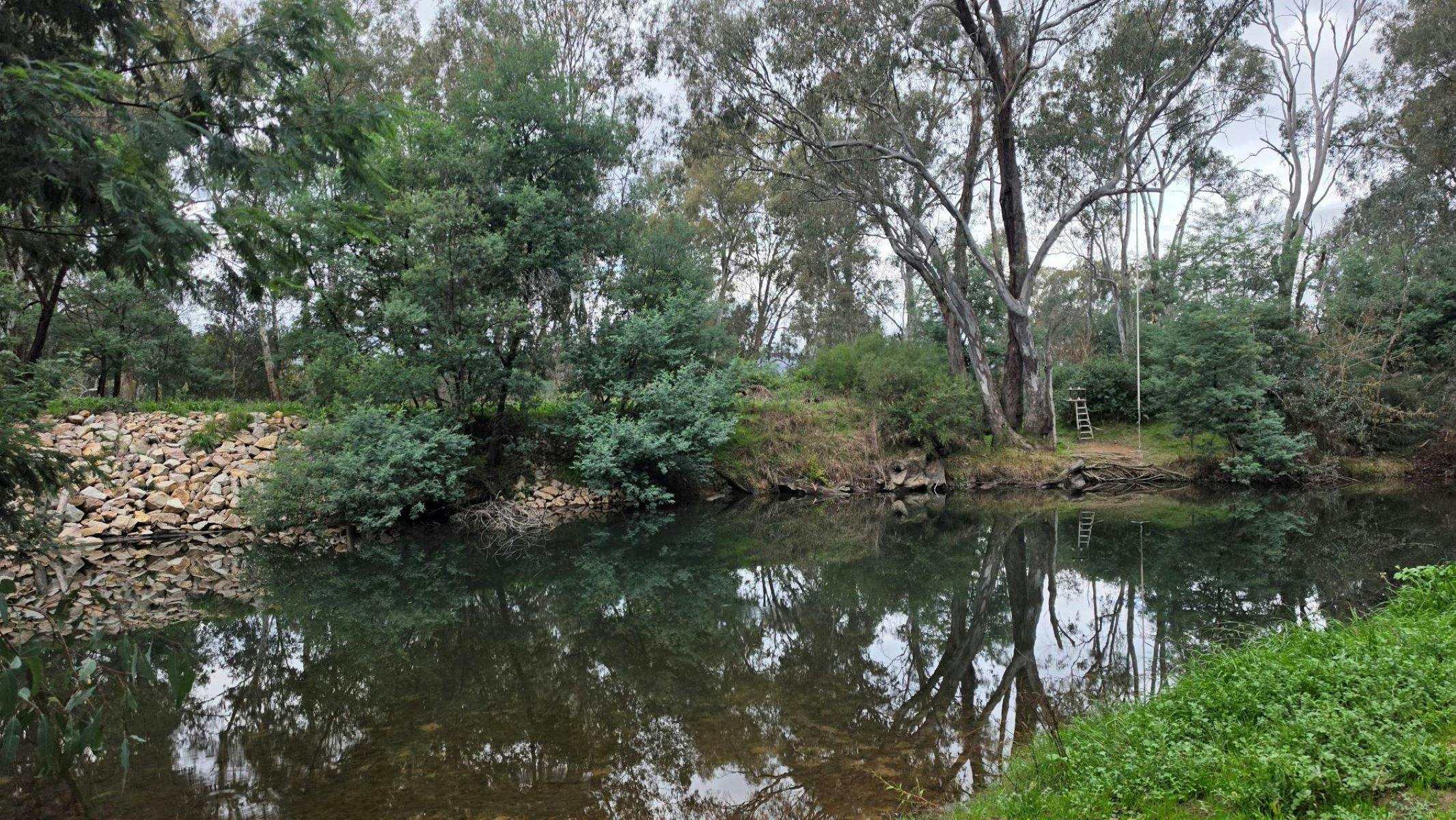River flowing through grassy edges with trees in the background and a rope swing.