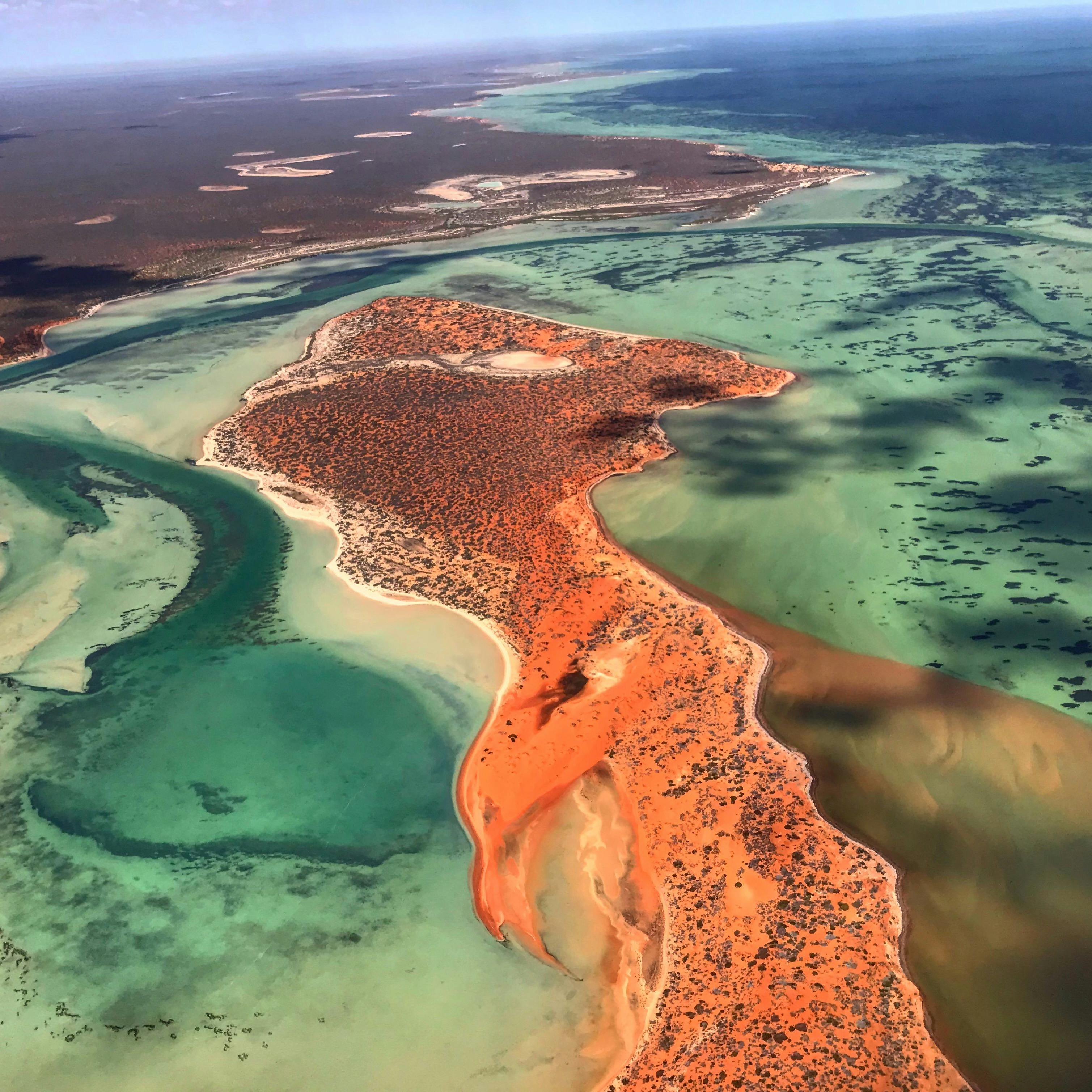 Shark Bay Aviation