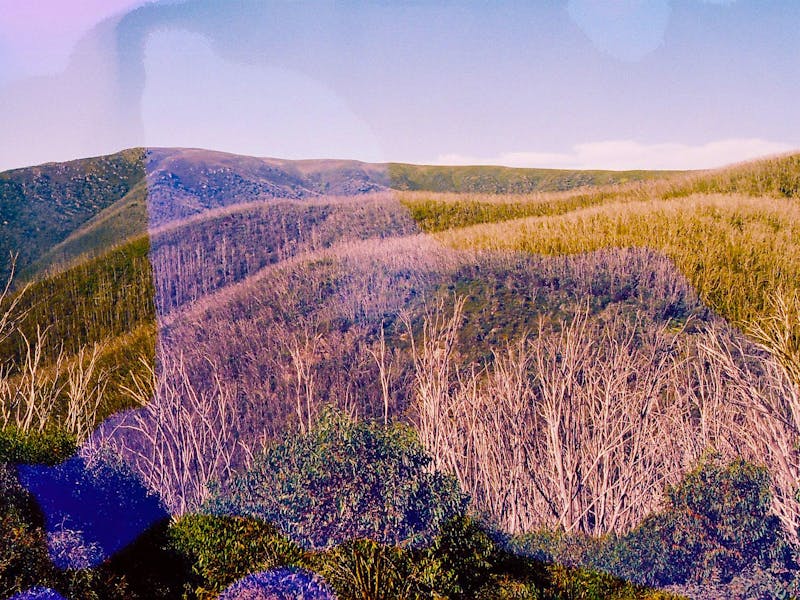 Image for Notes from the Field: Bogong Centre for Sound Culture