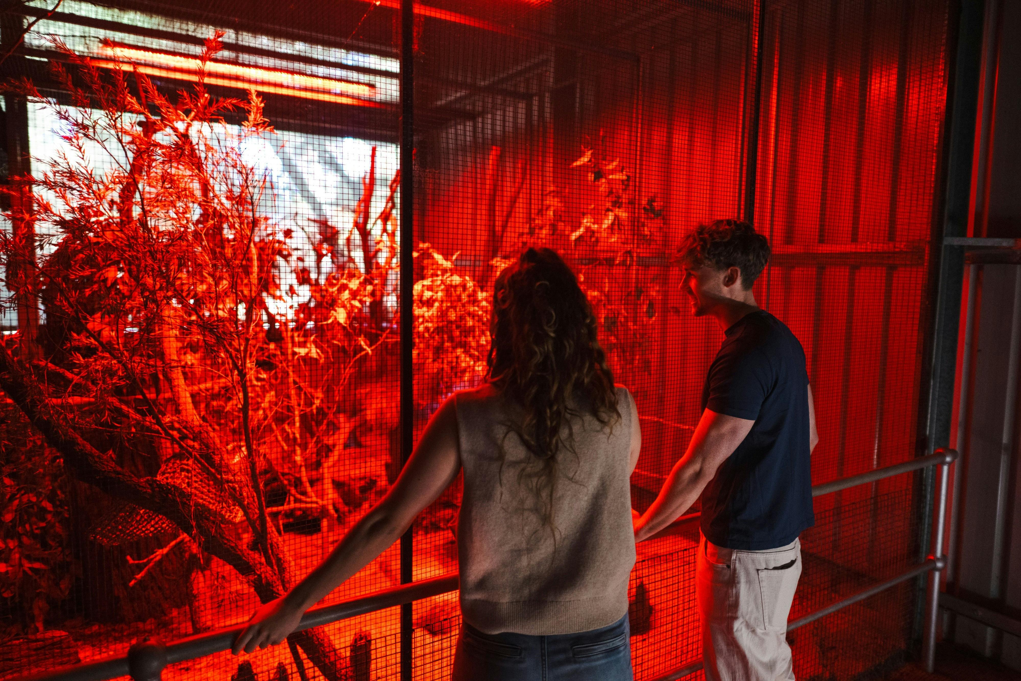 Couple explores the Central Gardens Nature Reserve in Merrylands West