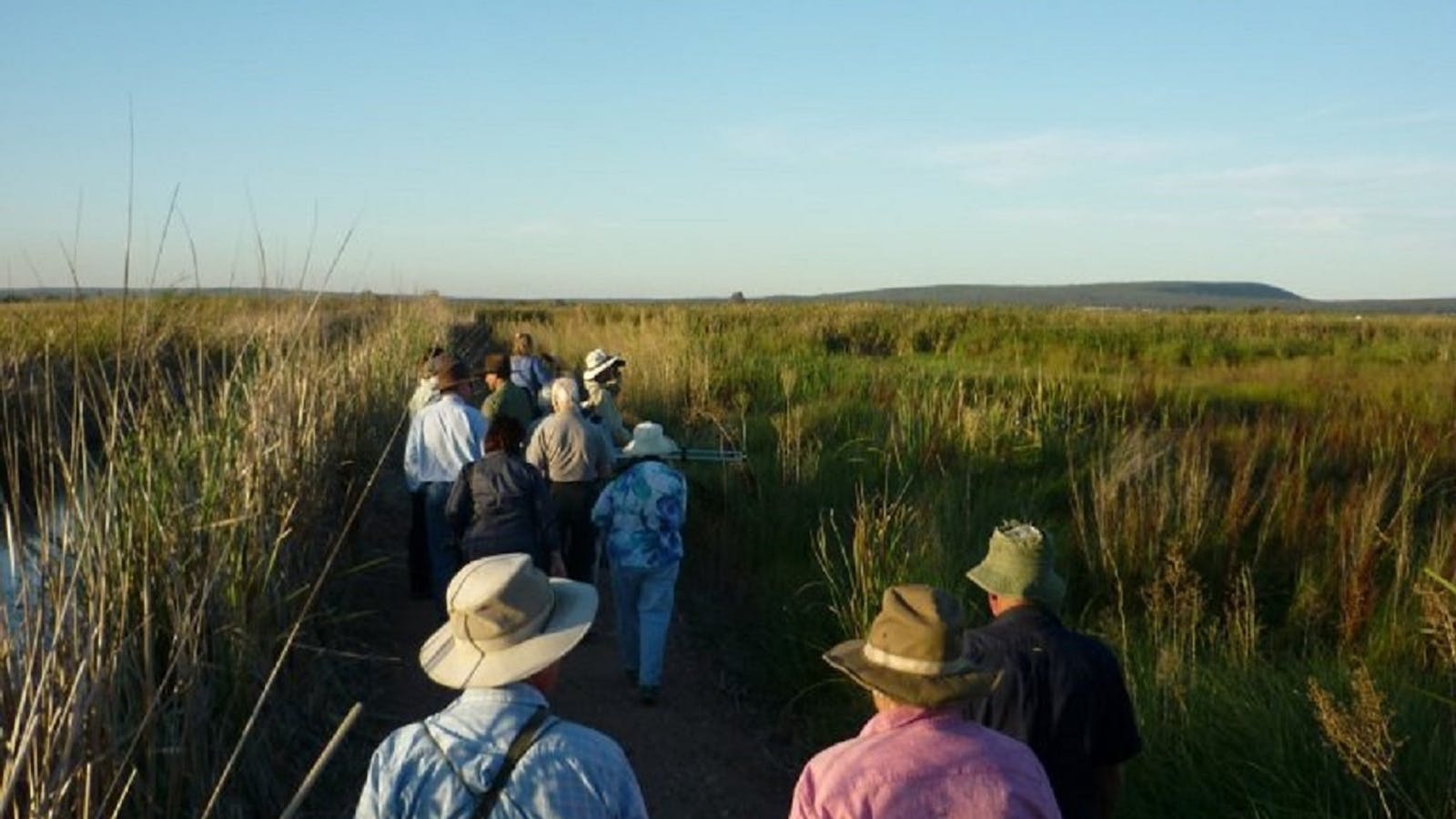 Fivebough Wetlands