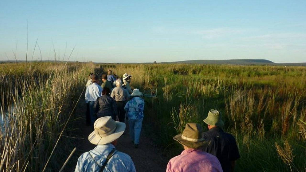 Fivebough Wetlands