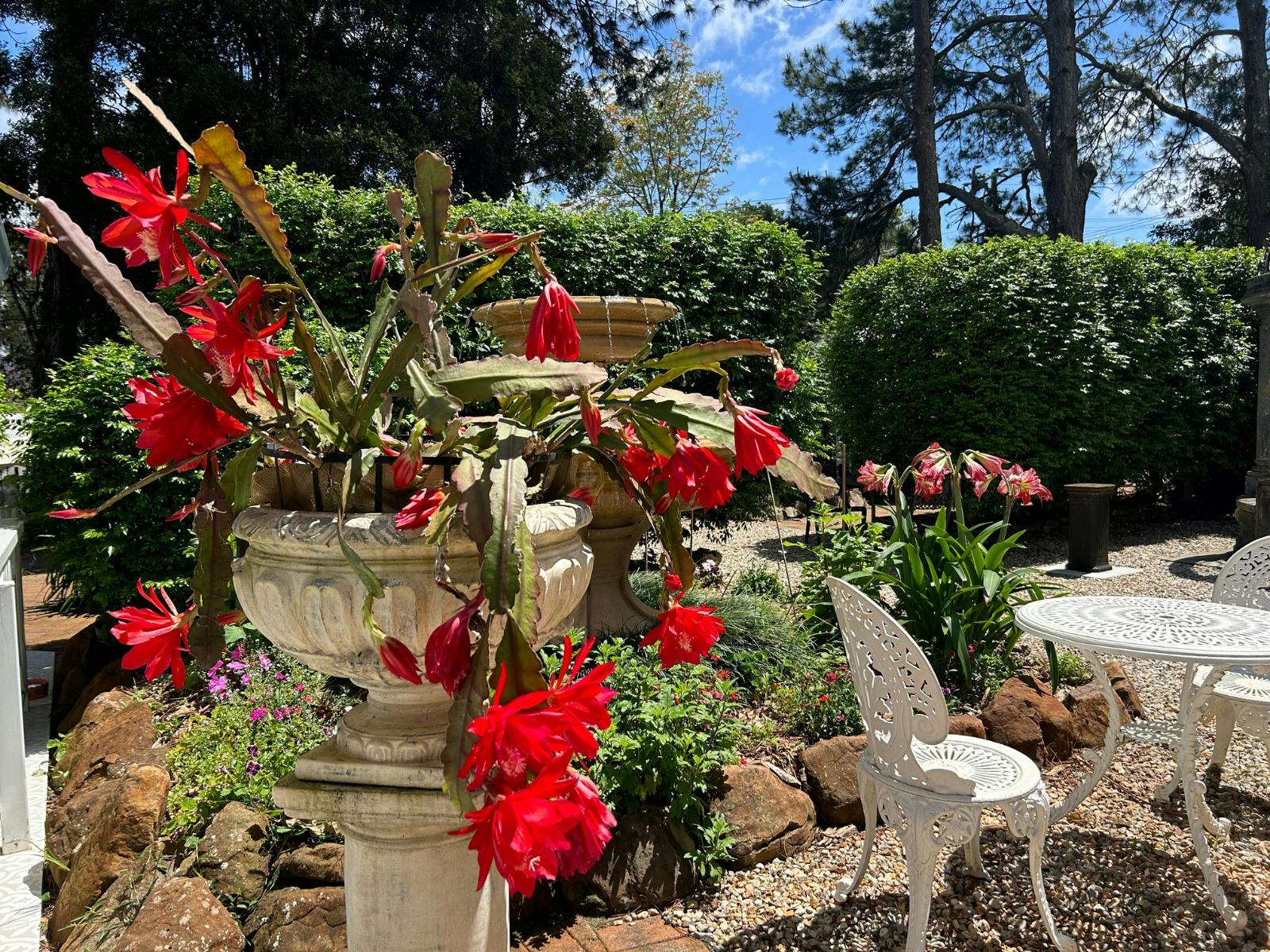 Grand Chameleon Gardens
