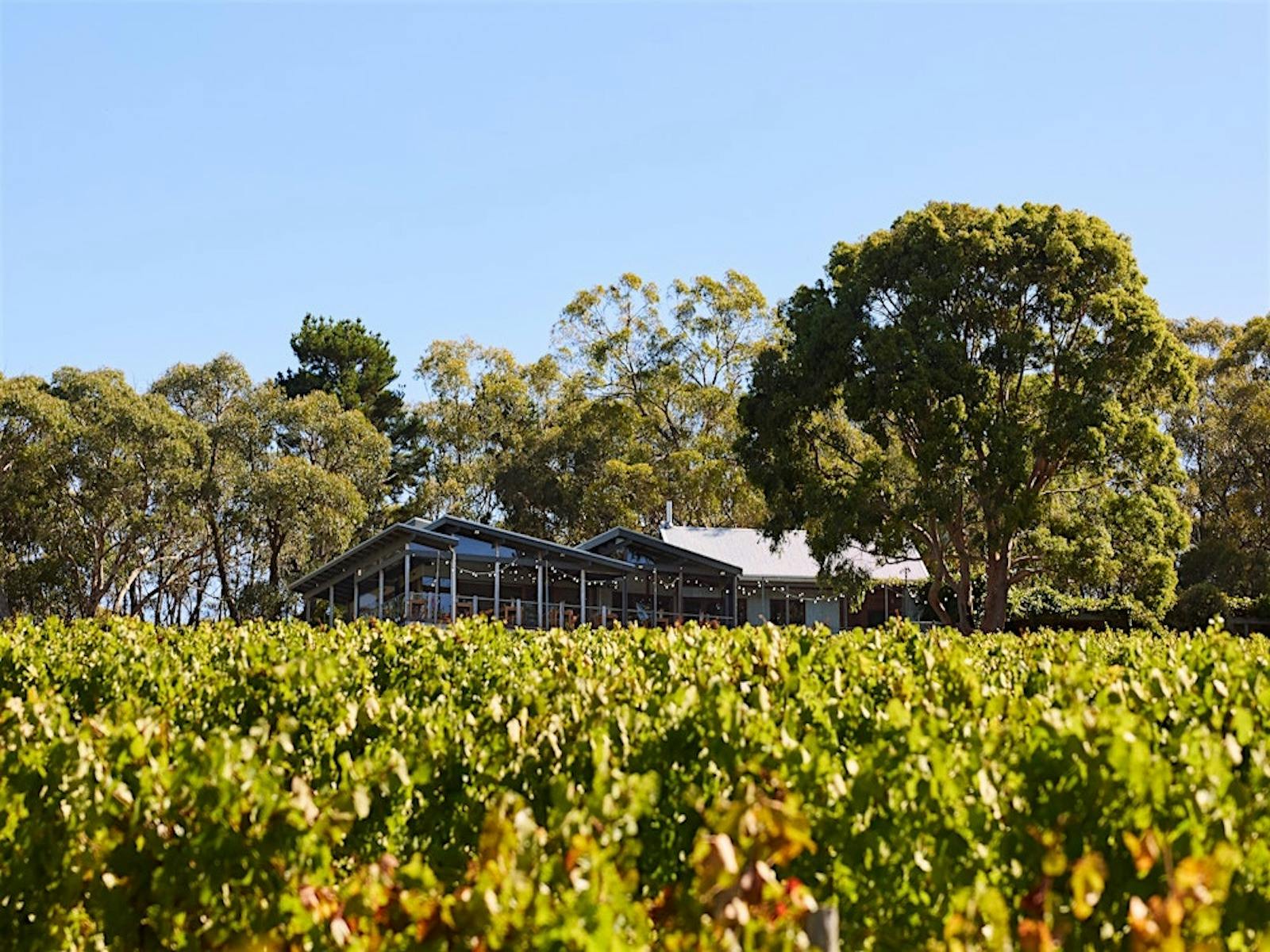 The Chardonnay Collective | Tasting Australia