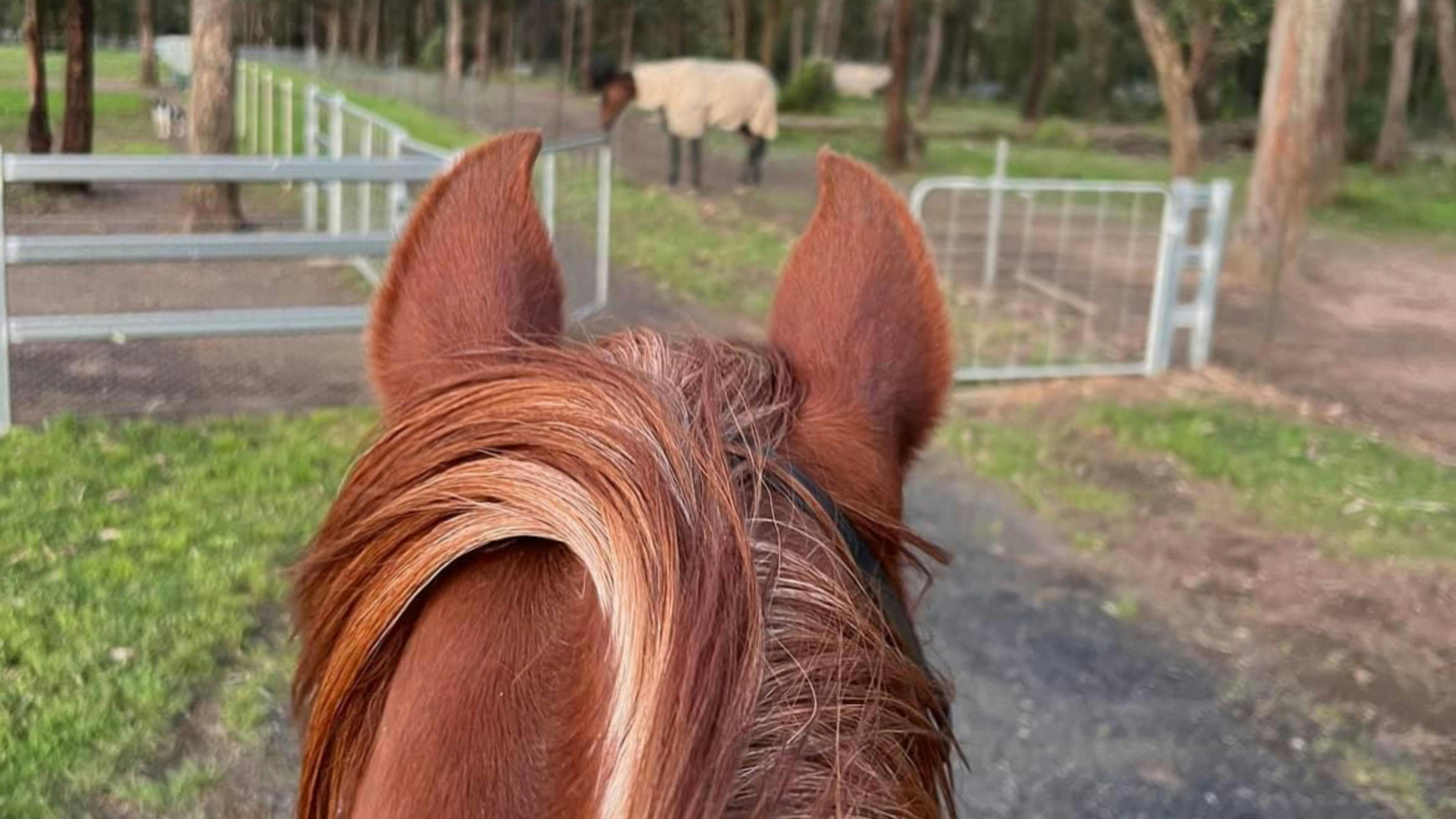 Caballo Retreat