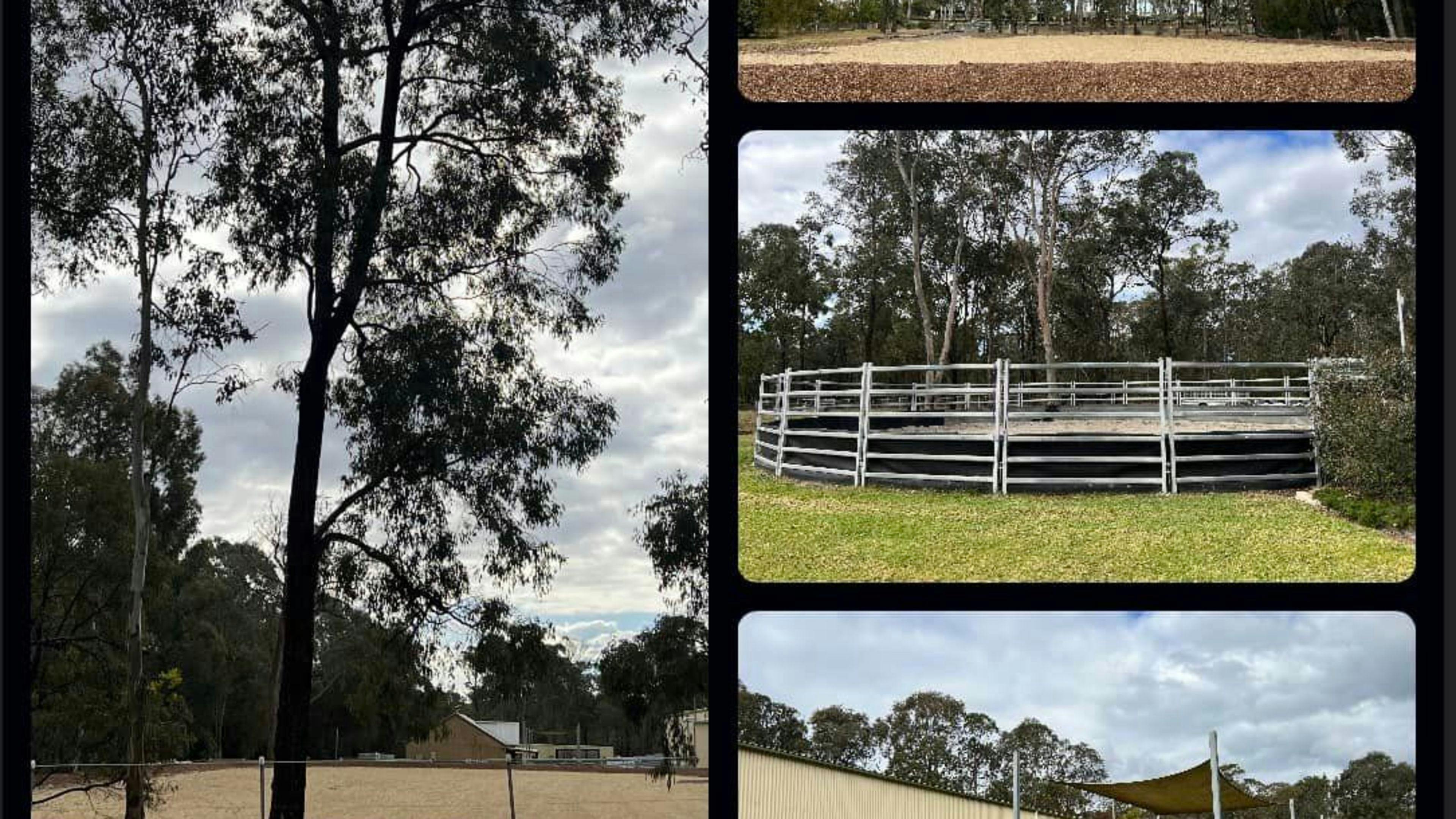 Horse Facilities 