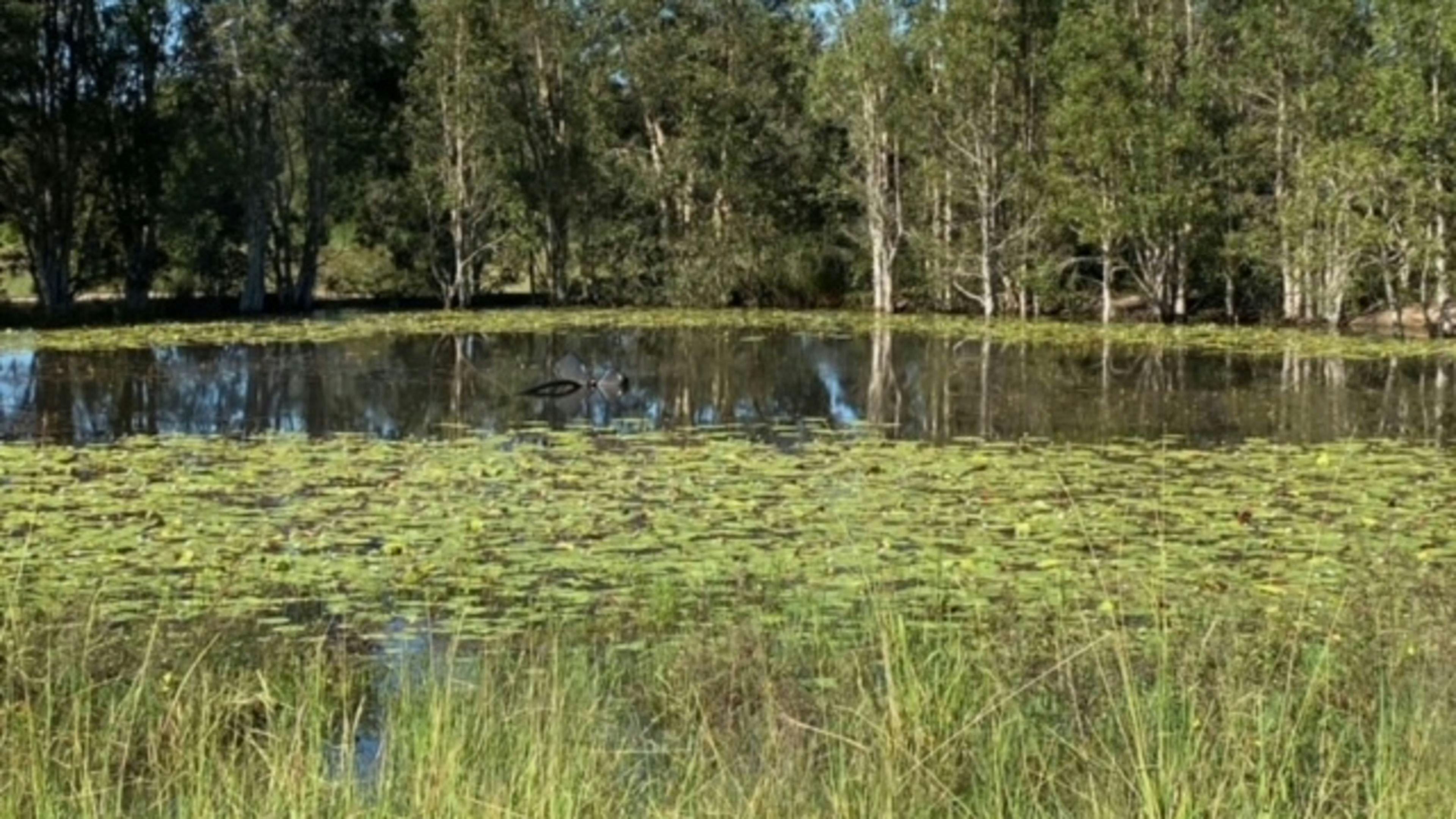 Caboolture Country Camp