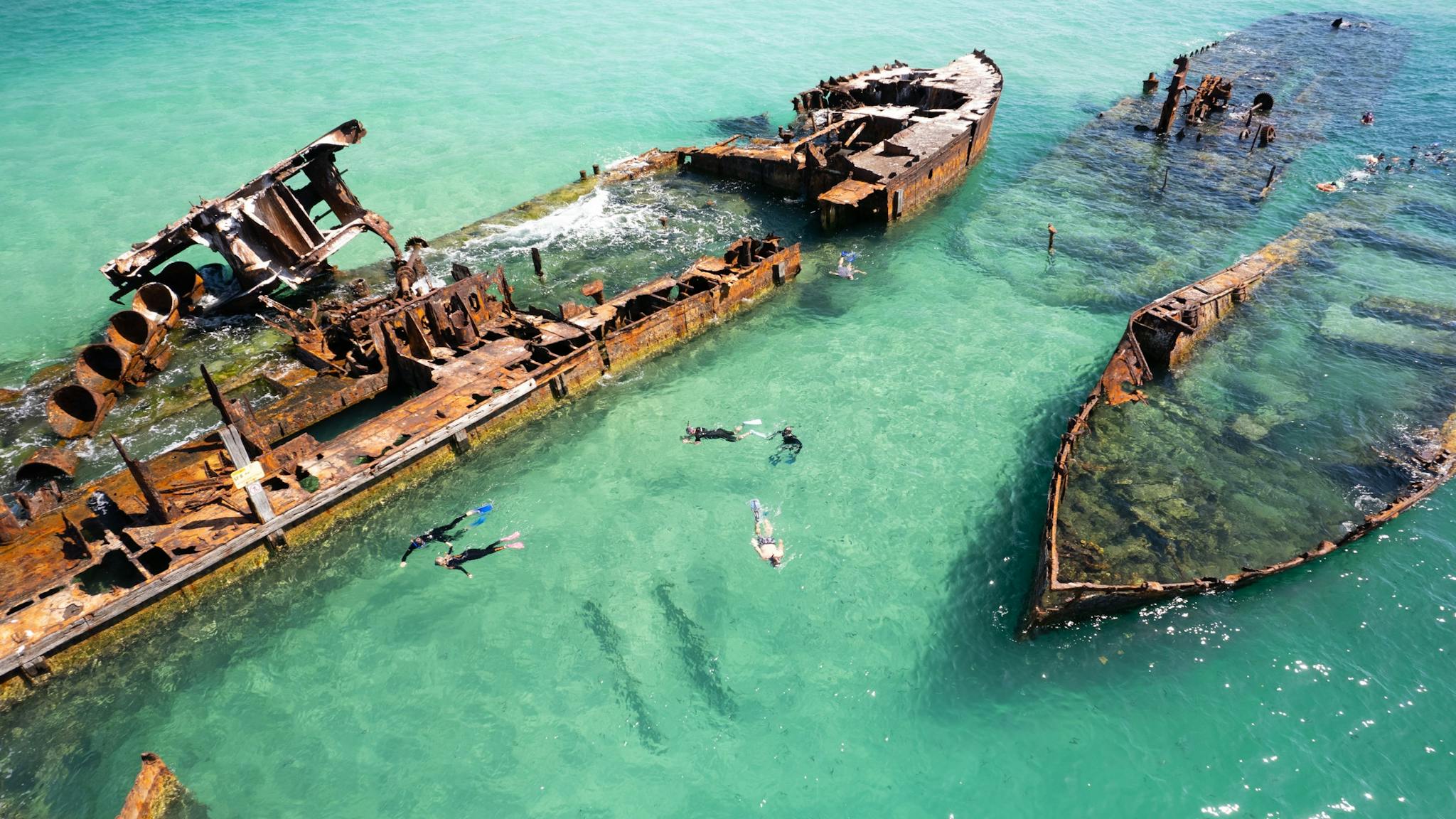 Snorkelling the tangaloomna wrecks